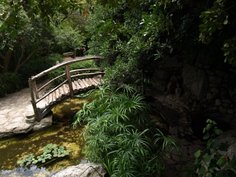 Bridge Over Water  Bridge Over Water